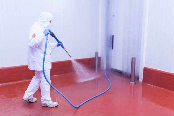Best Dumpster Area Cleaning  in Brazoria, TX