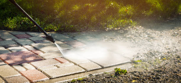 Best Warehouse Cleaning  in Brazoria, TX