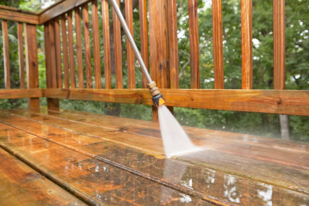 Best Rust Removal  in Brazoria, TX