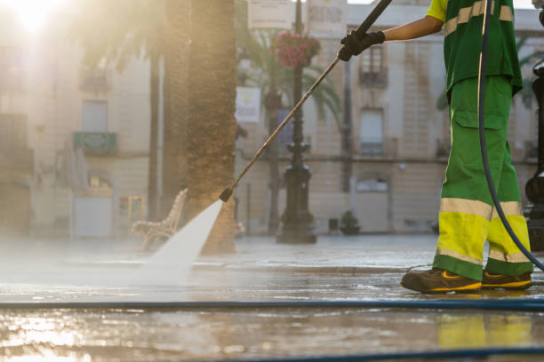 Best Driveway Pressure Washing  in Brazoria, TX